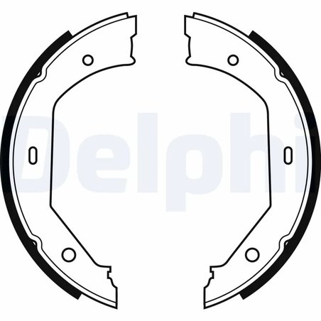 SET SABOTI FRANA DELPHI LS1857 - Compatibil cu ALPINA, BMW