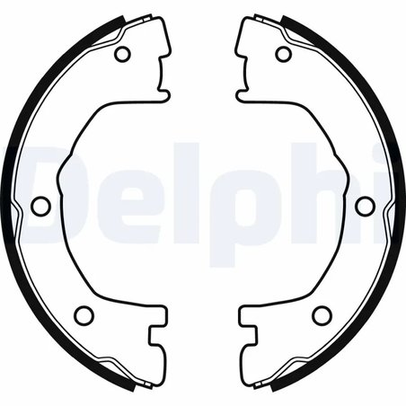 Set saboti frana Delphi LS1919