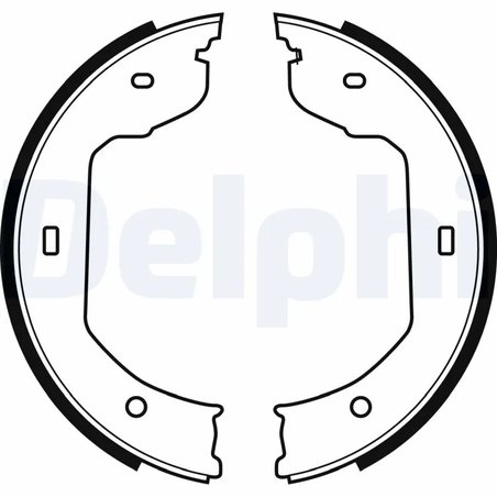 Set saboti frana Delphi LS1920