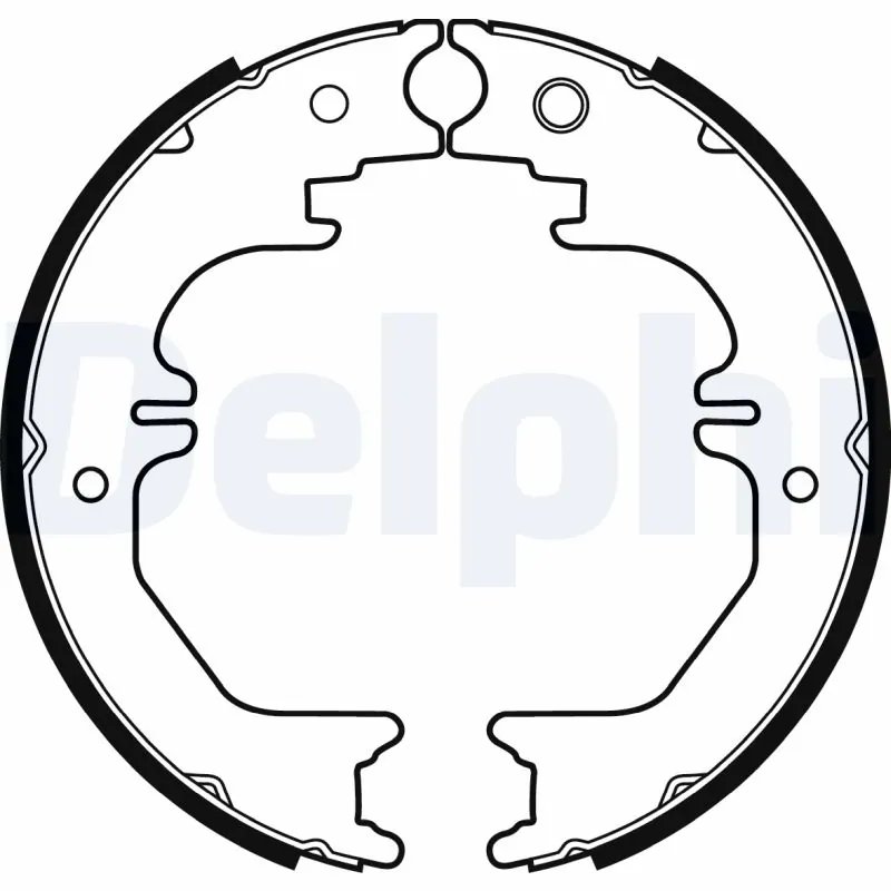 SET SABOTI FRANA DELPHI LS2132 - Compatibil cu LEXUS, TOYOTA