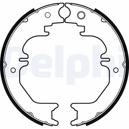 SET SABOTI FRANA DELPHI LS2132 - Compatibil cu LEXUS, TOYOTA