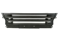 Grila radiator Pacol MAN-FP-020