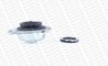 Set reparatie rulment flansa amortizor Monroe MK147R