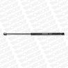 Amortizor portbagaj Monroe ML6036