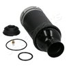 BURDUF SUSPENSIE PNEUMATICA JAPANPARTS MM-AS011 - Compatibil cu AUDI