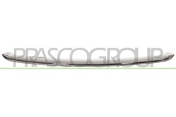 Banda de protectie, grila radiator Prasco MN3102205
