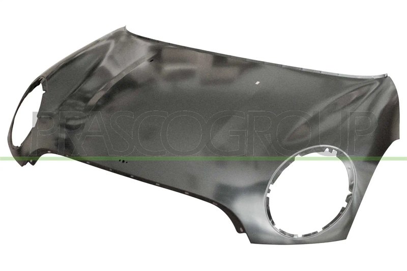 Capota motor Prasco MN3103100