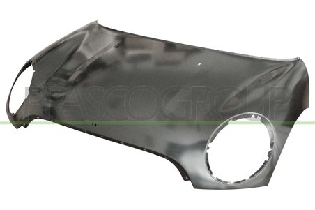 Capota motor Prasco MN3103100
