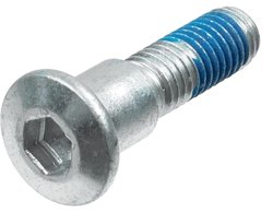 SET SURUB, DISC FRANA TRW MSS118-5 - Piesa auto compatibila cu mai multe marci