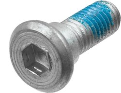 SET SURUB, DISC FRANA TRW MSS123-3 - Piesa auto compatibila cu mai multe marci