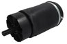 ARC PNEUMATIC DIRECTIE MAGNUM TECHNOLOGY MZL004MT - Compatibil cu LAND ROVER