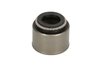 Etansare supape BTA N30302BTA