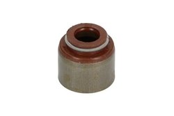 Etansare supape BTA N30502BTA