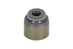 Etansare supape BTA N30504BTA
