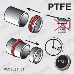 Simering arbore cotit Payen NA5124