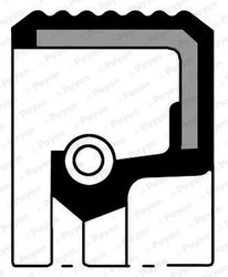 SIMERING CUTIE AUTOMATA PAYEN NA5449 - Compatibil cu CITROEN, FIAT, MINI, PEUGEOT, TOYOTA, VOLVO