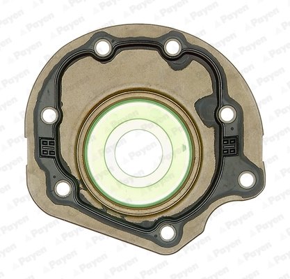 Simering arbore cotit Payen NC086