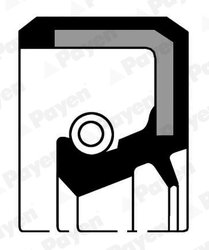 SIMERING CUTIE AUTOMATA PAYEN NF334 - Compatibil cu CITROEN, PEUGEOT, RENAULT, TALBOT