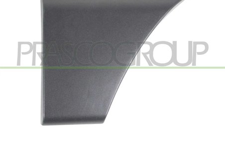ELEMENTE DECORATIVE/PROTECTIE, PORTIERA PRASCO OP9541464 - Compatibil cu OPEL, RENAULT, VAUXHALL