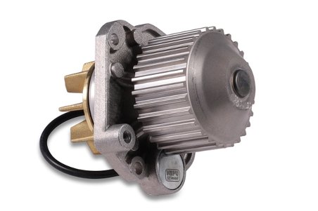Pompa de apa Hepu P1075