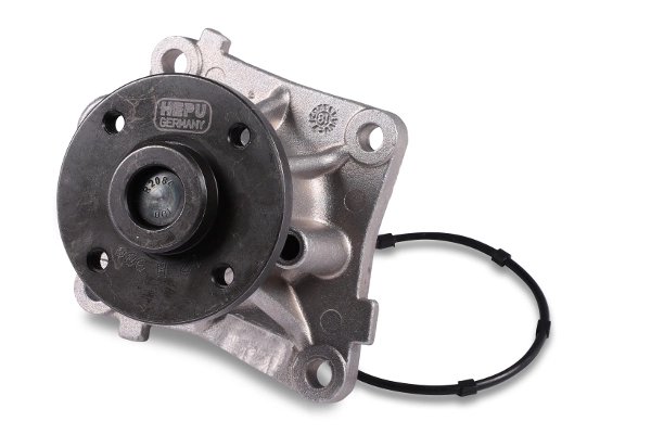 Pompa de apa Hepu P131