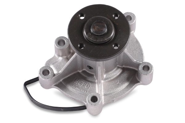 Pompa de apa Hepu P141