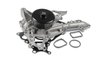 POMPA DE APA HEPU P1551 - Compatibil cu MERCEDES-BENZ
