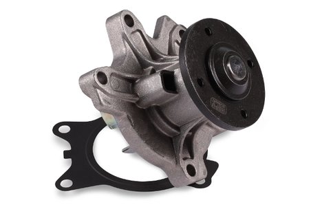 Pompa de apa Hepu P411