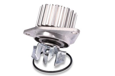 Pompa de apa Hepu P813