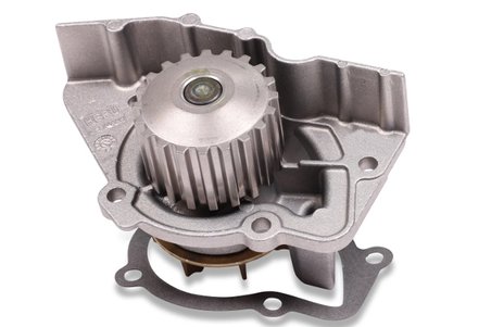 Pompa de apa Hepu P895