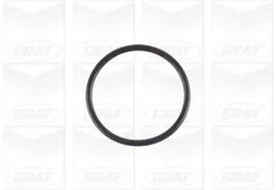 Pompa de apa Graf PA1154