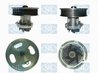 POMPA DE APA SALERI SIL PA1393 - Compatibil cu ALFA ROMEO, CHEVROLET, CITROEN, FIAT, FORD, LANCIA, OPEL, PEUGEOT, SUZUKI, VAUXHA