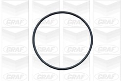 Pompa de apa Graf PA422