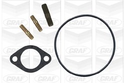POMPA DE APA GRAF PA454 - Compatibil cu FIAT