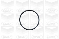 POMPA DE APA GRAF PA603 - Compatibil cu SEAT, SKODA, VW
