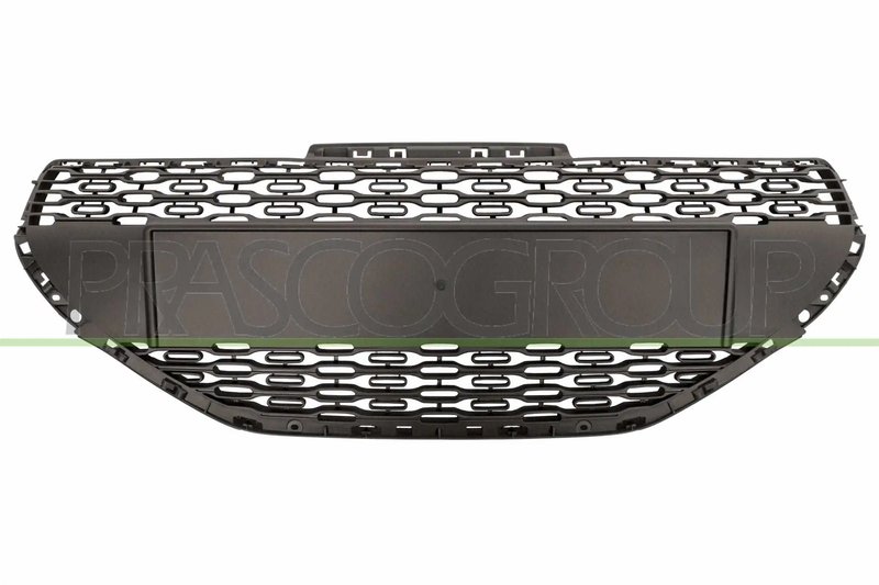 Grila radiator Prasco PG3262001