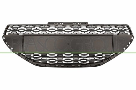 Grila radiator Prasco PG3262001