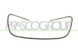 Grila radiator Prasco PG5302305