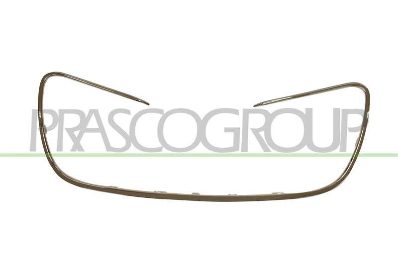 Grila radiator Prasco PG5302305