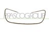 Grila radiator Prasco PG5302305