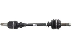 PLANETARA POINT GEAR PNG70256 - Compatibil cu CITROEN, FIAT, LANCIA, PEUGEOT