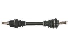 PLANETARA POINT GEAR PNG70301 - Compatibil cu CITROEN, PEUGEOT