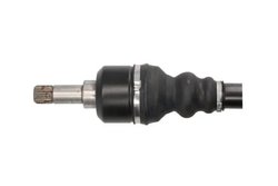 PLANETARA POINT GEAR PNG70303 - Compatibil cu PEUGEOT