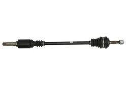 PLANETARA POINT GEAR PNG70362 - Compatibil cu CITROEN, PEUGEOT