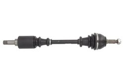 PLANETARA POINT GEAR PNG70459 - Compatibil cu PEUGEOT