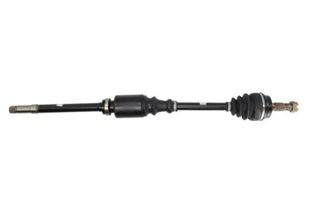 Planetara POINT GEAR PNG70462
