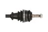 PLANETARA POINT GEAR PNG70495 - Compatibil cu CITROEN, PEUGEOT