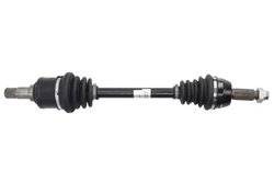 PLANETARA POINT GEAR PNG70845 - Compatibil cu FORD