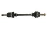 PLANETARA POINT GEAR PNG71254 - Compatibil cu FIAT, LANCIA