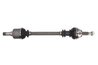 PLANETARA POINT GEAR PNG71307 - Compatibil cu CITROEN, FIAT, PEUGEOT